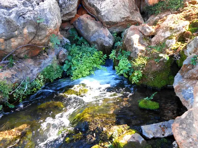 AlKasfah Spring | Alkasfah Spring Oman | Hot Water Springs Oman