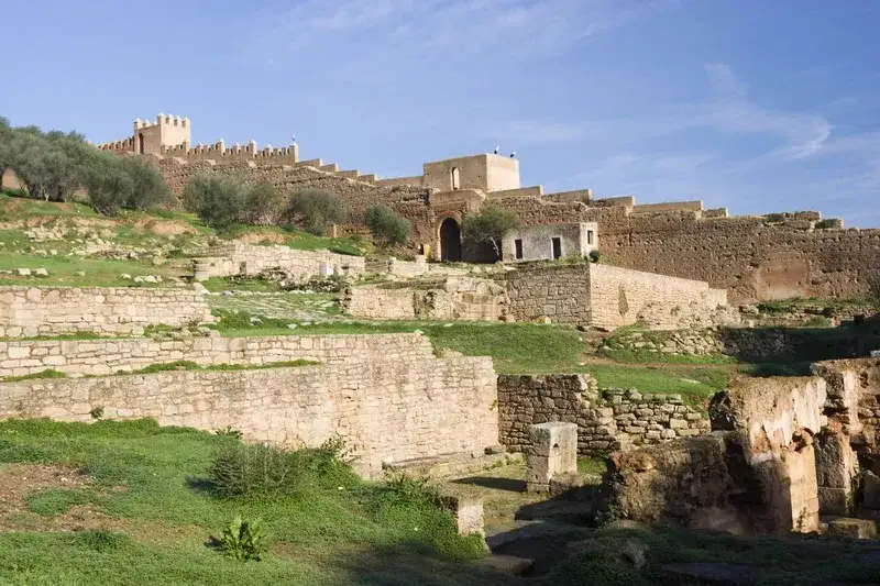 vestigios-de-pedra-da-antiga-sala-colonia-e-fortaleza-de-chellah