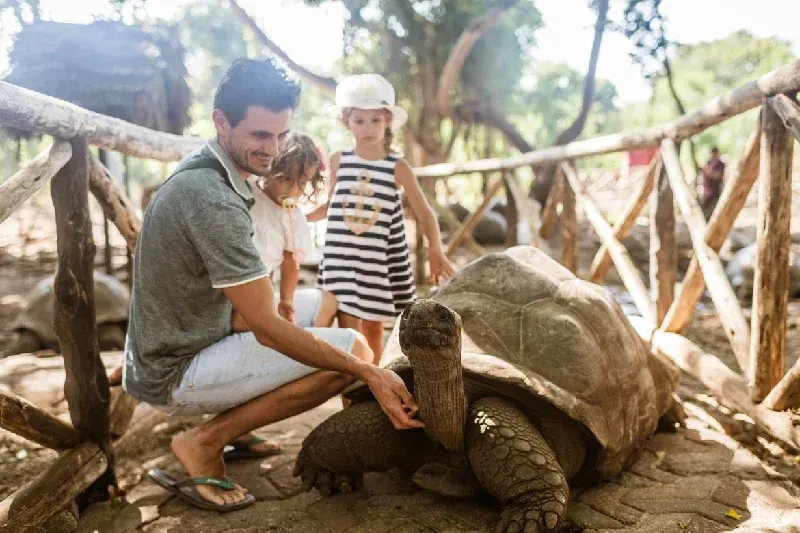 Visiting giant tortoises on Prison Island in Zanzibar, Tanzania