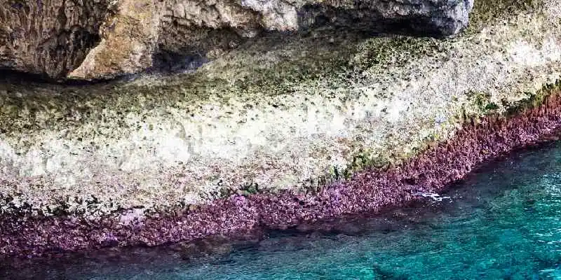 Capo Manzamo di Okinawa