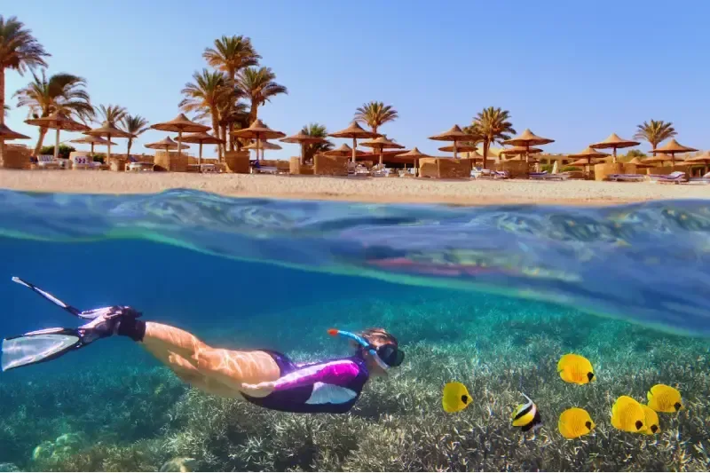 Donna che fa snorkeling vicino a una barriera corallina nel Mar Rosso, con spiaggia tropicale sullo sfondo.