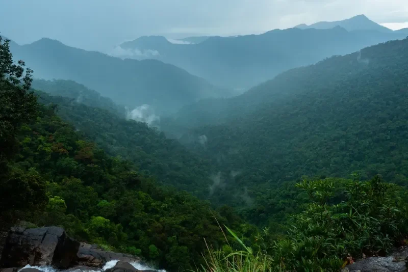 Vista del Parque Nacional Bach ma de Vietnam.