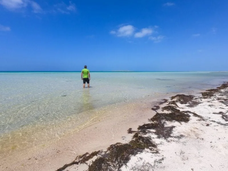 ISole di Farasan a jizan , isole farasan