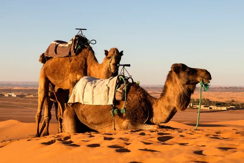 Villaggio di Merzouga