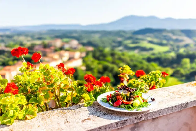 Rucolasalat mit Oliven auf einem Teller auf einer Balkonterrasse, umgeben von roten Geranien, mit Blick auf die toskanische Berglandschaft in Italien