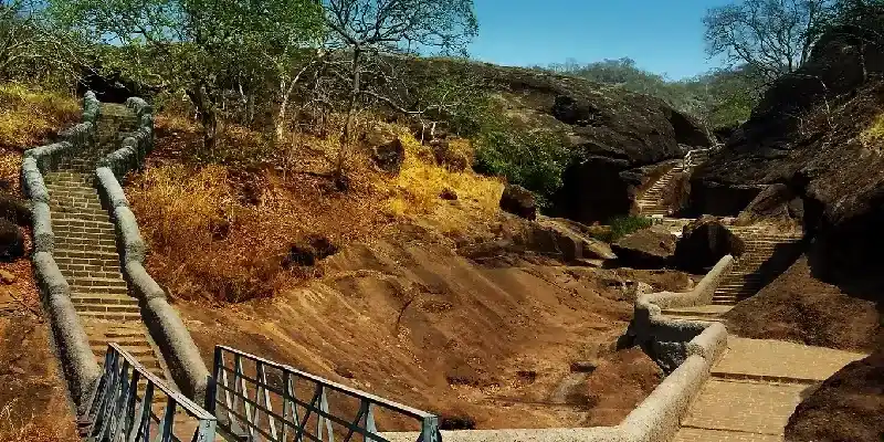 Las cuevas de Kanheri son un conjunto de cuevas y monumentos excavados en roca, tallados en un enorme afloramiento de basalto en los bosques del Parque Nacional Sanjay Gandhi.