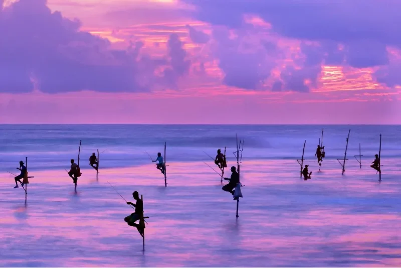 Pescadores sobre zancos al atardecer, Sri Lanka.