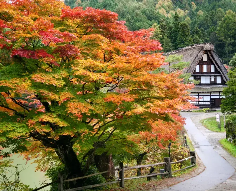 Takayama Japón: La Joya de los Alpes Japoneses 2026