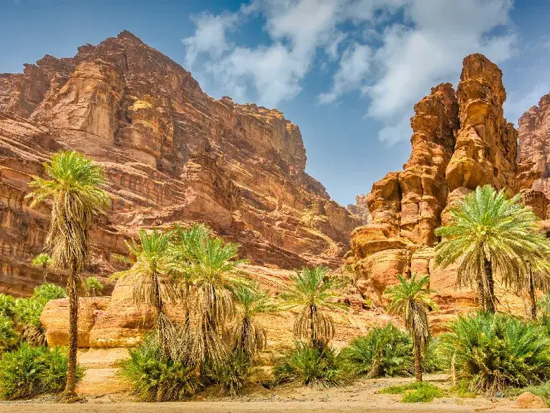 Wadi Al Disah: Guía del Valle Más Bello de Arabia Saudita