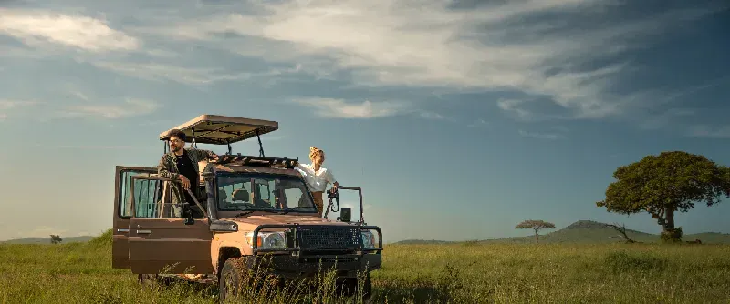 African wildlife Safari