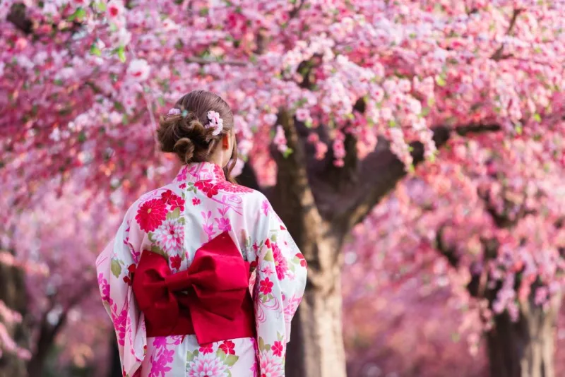 Una giapponese con fiori di sakura