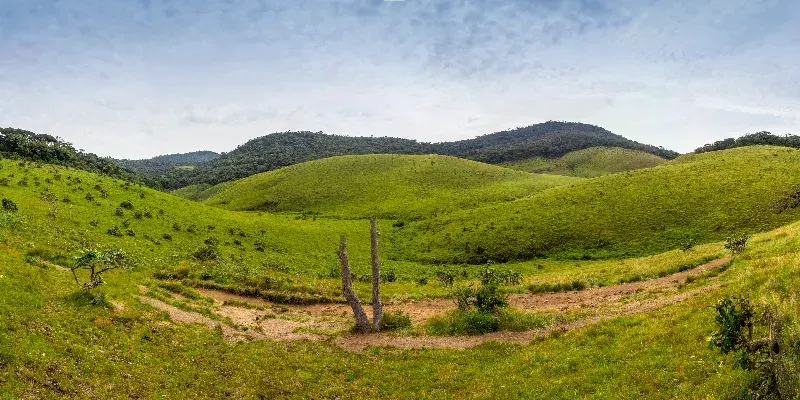 Parque Nacional Horton Plains, Sri Lanka.