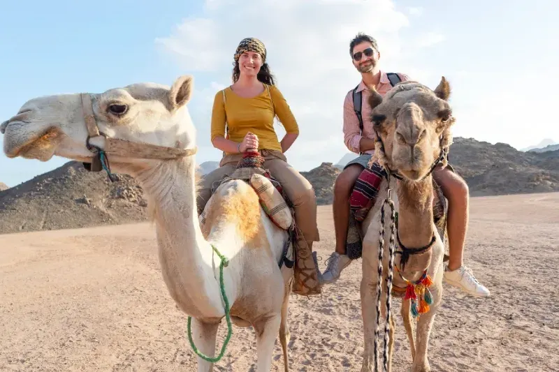 Una coppia di innamorati in luna di miele cavalca cammelli nel deserto del Sahara.
