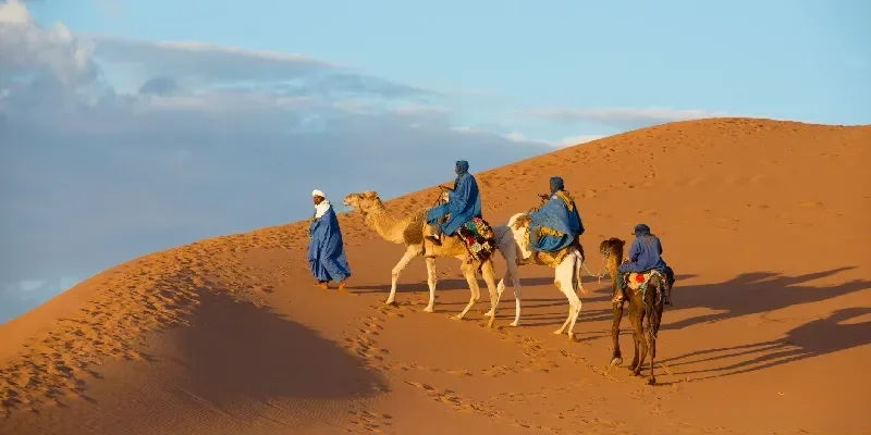 Caravana de camellos en el desierto del Sahara.
