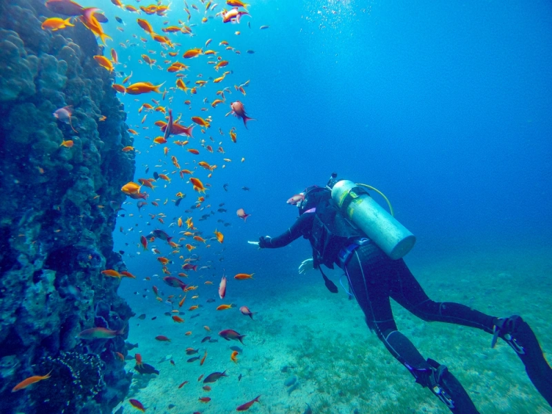 Scuba diver swimming near coral reef surrounded by school of colorful fish in clear blue water.
