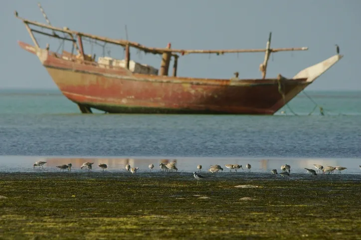 Barr Al Hikman | Barr Al hikman Oman | Barr Al Hikman Islands