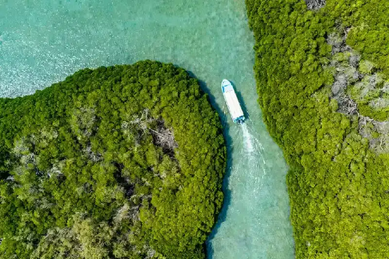 ISole di Farasan a jizan , isole farasan