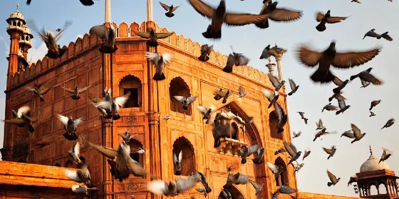 bandada-de-aves-volando-frente-a-la-mezquita-jama-masjid-en-vieja-delhi-india