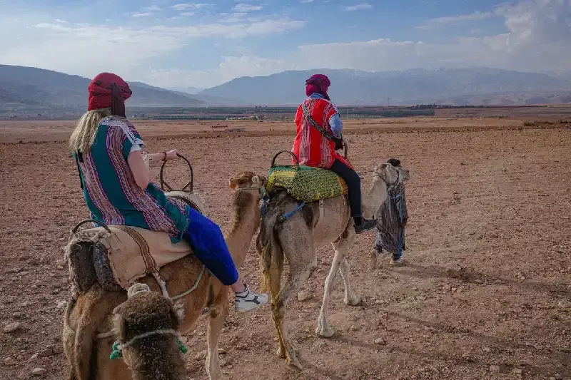 Best Desert safaris in Egypt, Morocco & Dubai