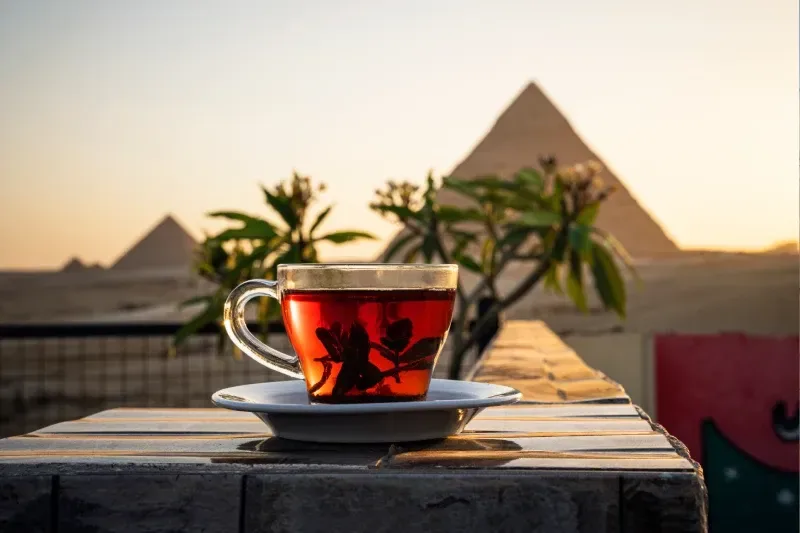 Tasse mit Tee vor den Großen Pyramiden von Gizeh, Ägypten.