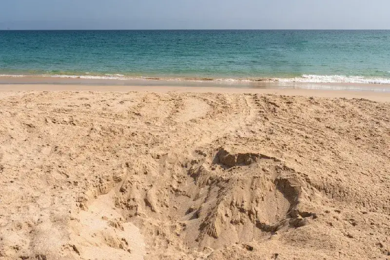 Perché Ras al Jinz Dovrebbe Essere Nella Tua Bucket List