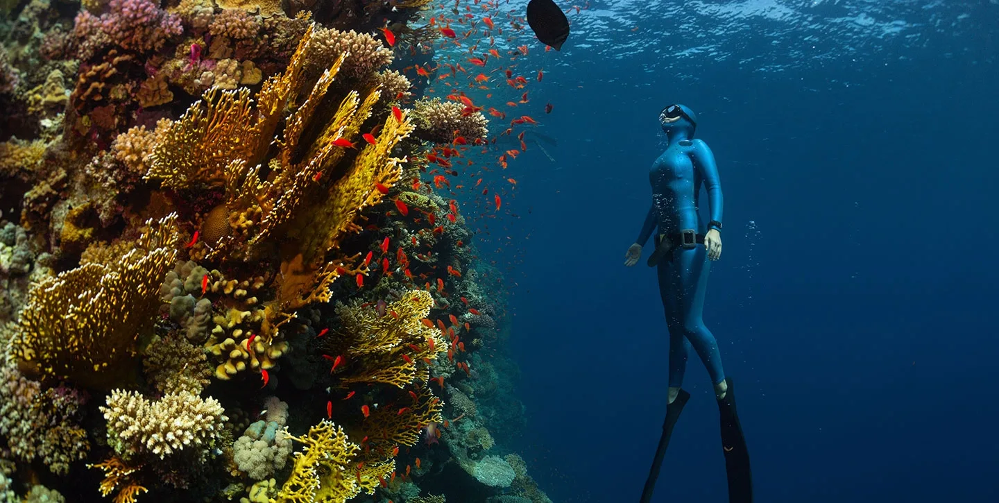 donde bucear en Egipto