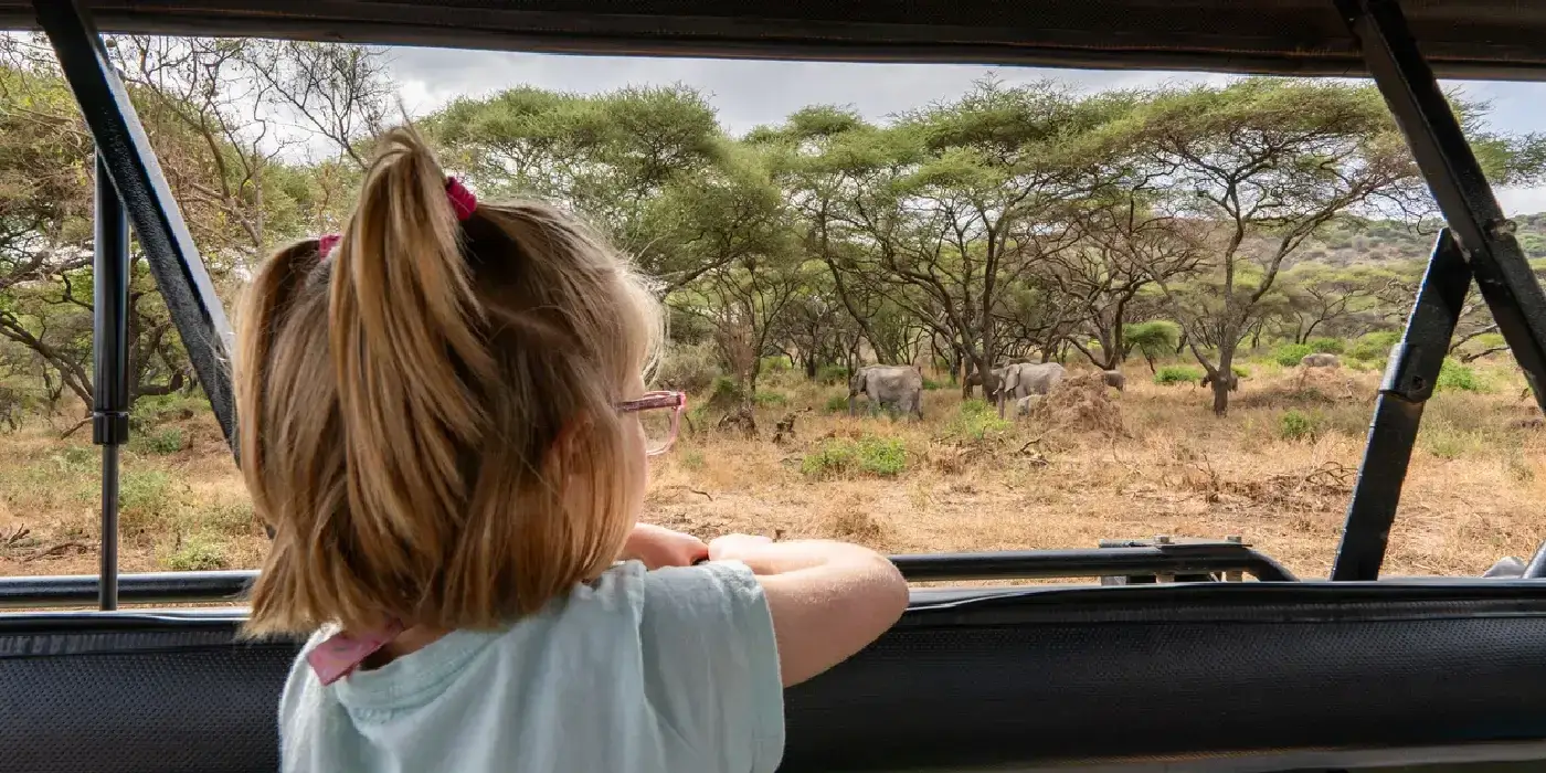 Young girl observing a majestic African Elephant herd in Lake Manyara National Park