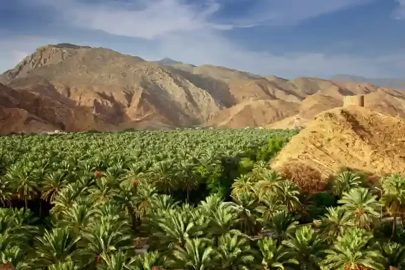 Nizwa Oman