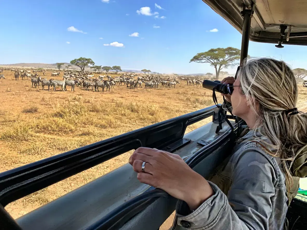 A woman on a safari vehicle looks through binoculars at a large herd of zebras grazing on a vast, sun-drenched plain dotted with acacia trees.