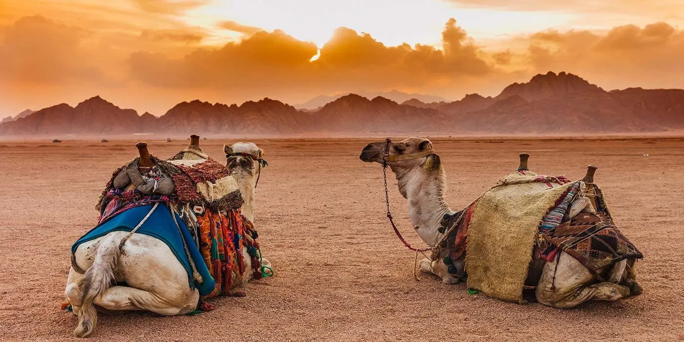 The Beautiful and Vast Sinai Peninsula