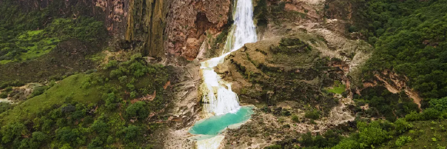 Nature Of Oman | Wildlife Of Oman | Desert Adventures Oman