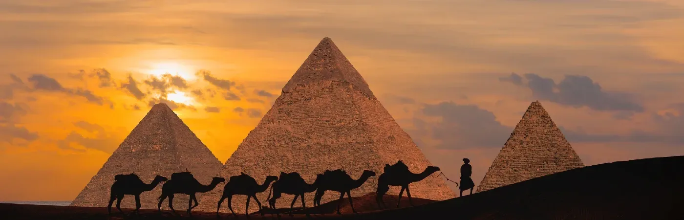 Sommer Ägypten: Die Kamel und Pyramiden
