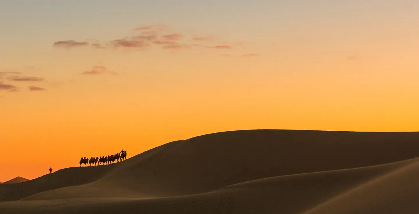 Paseo en camello, desierto tunecino.