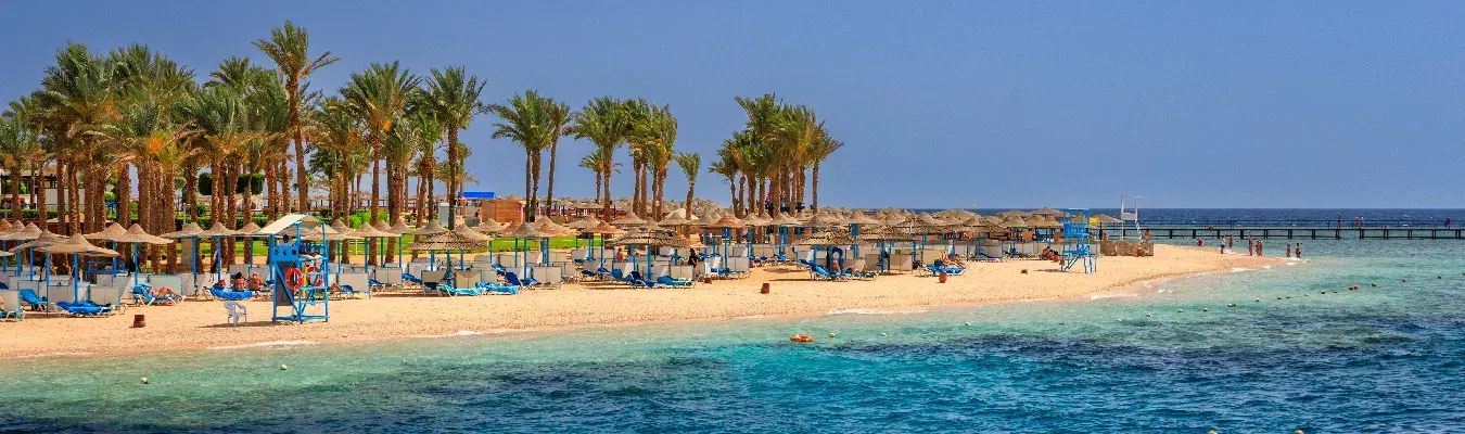 Palmen säumen einen Sandstrand am türkisfarbenen Wasser