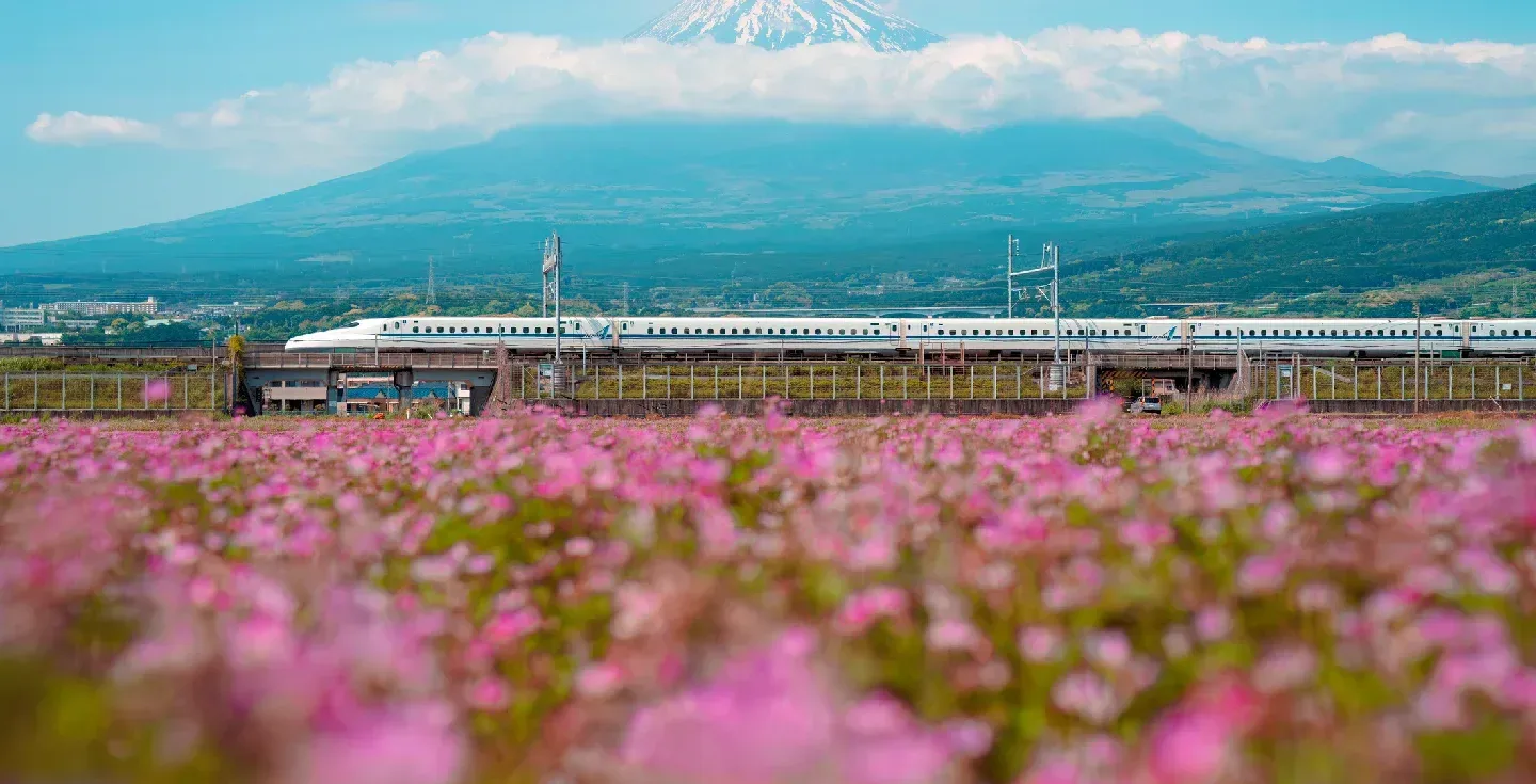 Transporte en Japón: Guía Completa para Moverte Fácil 2026