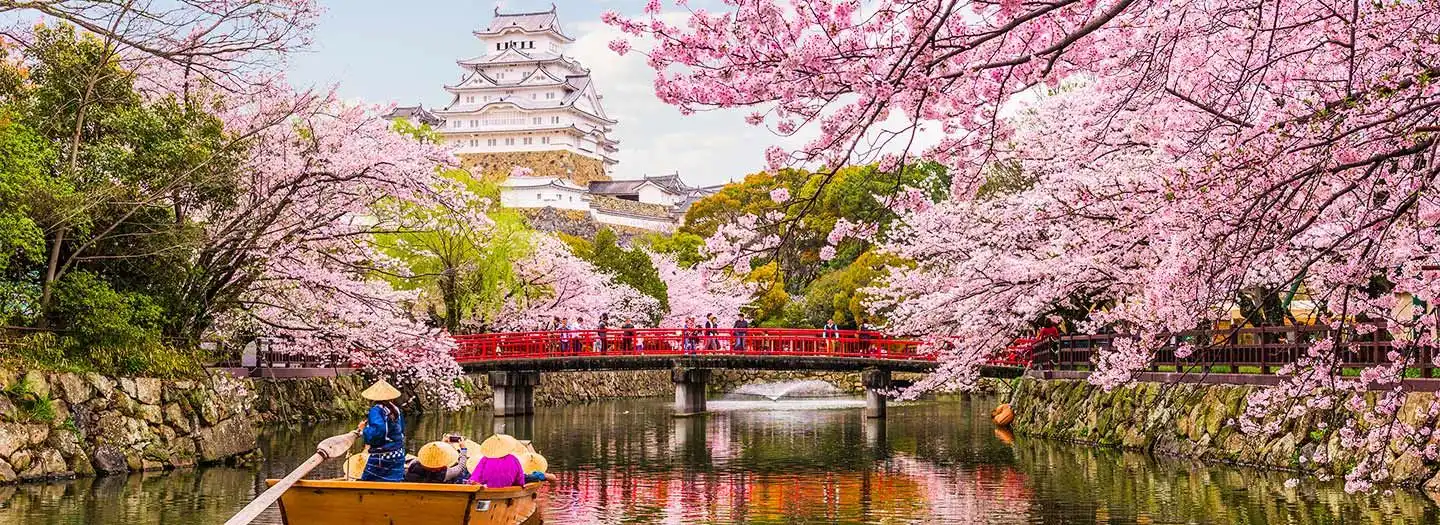 Round Trips in Japan