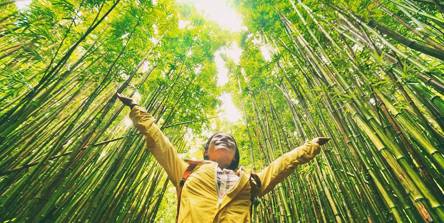 nachhaltiges Reisen | earth day | tag der erde