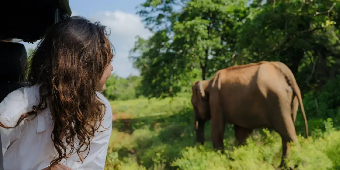 Woman spotting an Indian elephant in Yala National Park