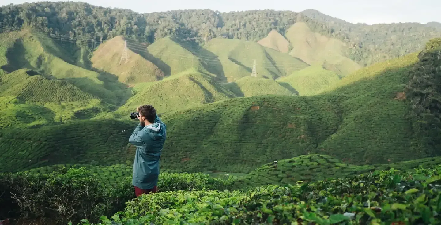hombre-tomando-foto-en-plantaciones-de-te