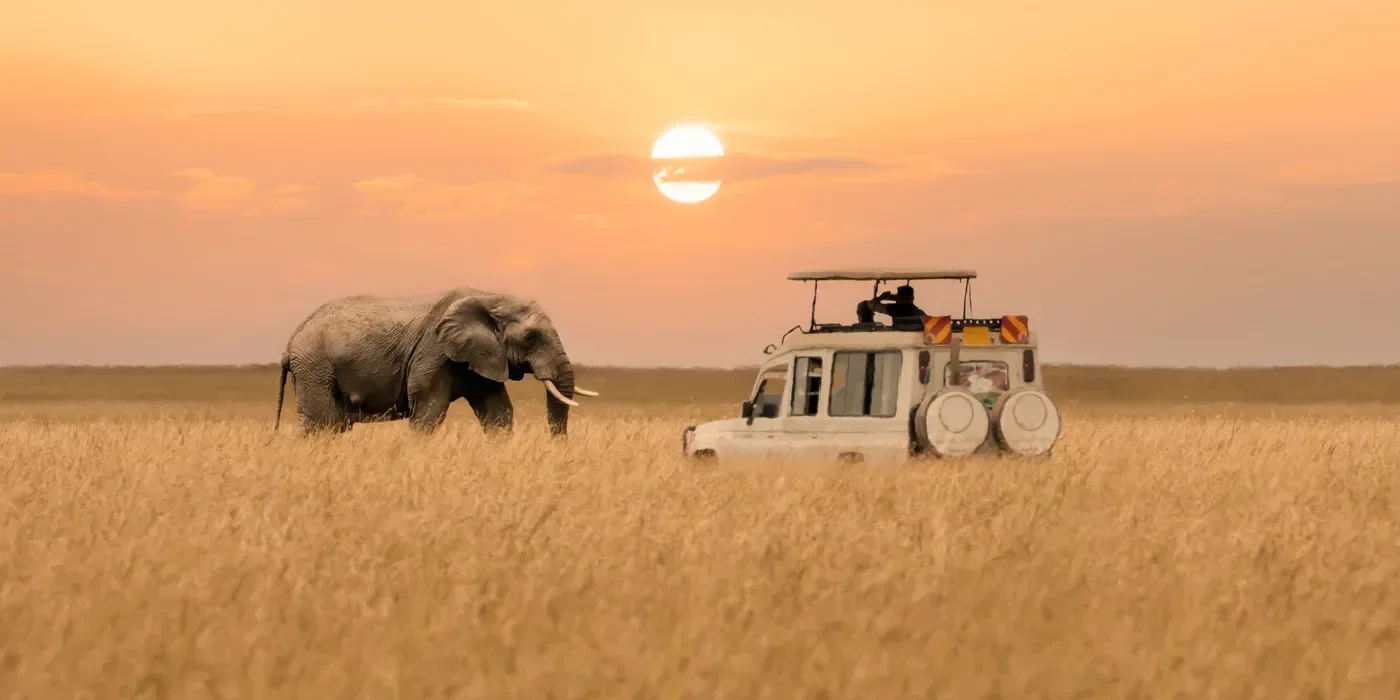 Lone elephant at sunset in Masai Mara, with a blurred safari vehicle nearby.