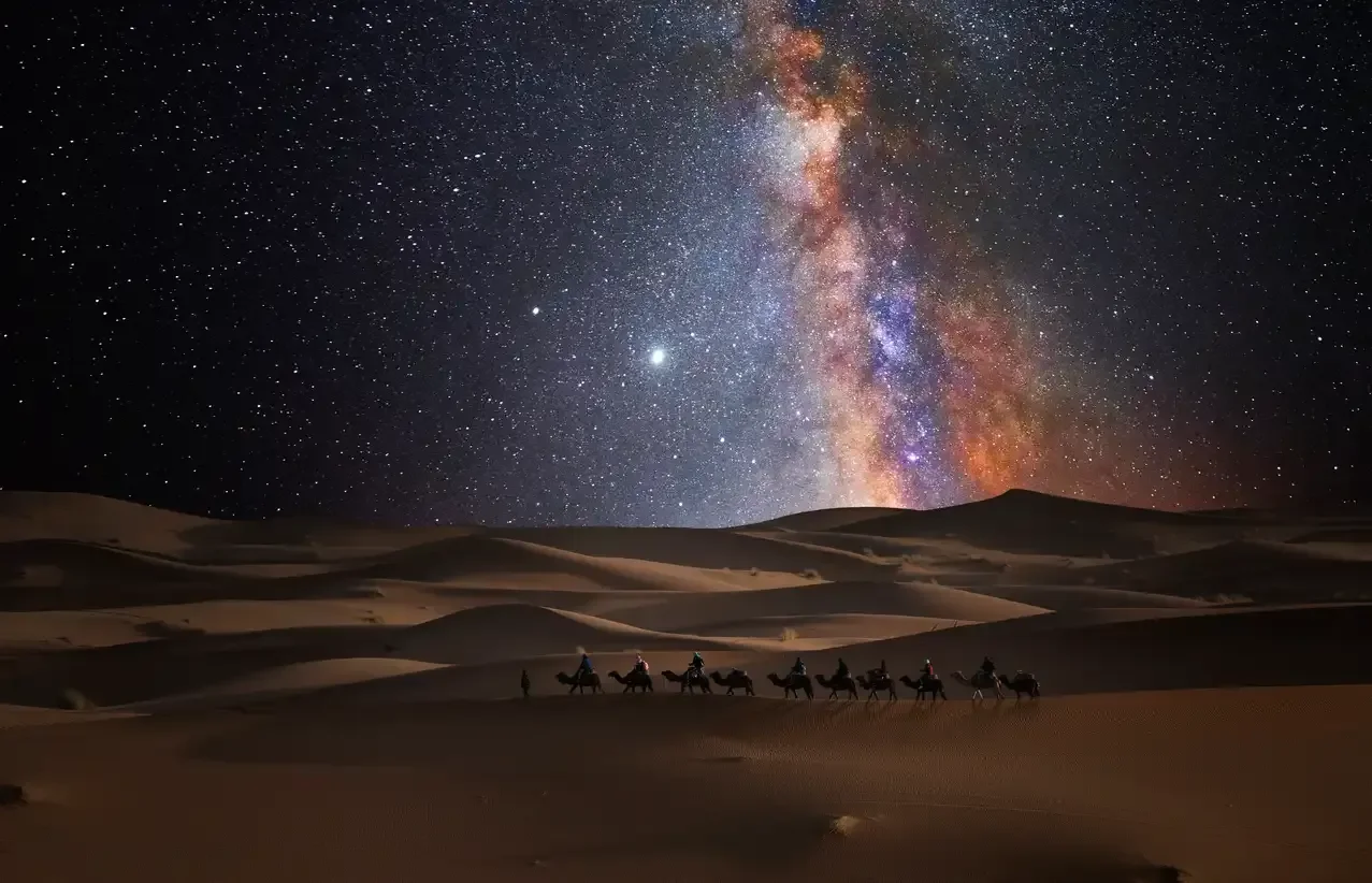 Camel caravan in the desert under the stars