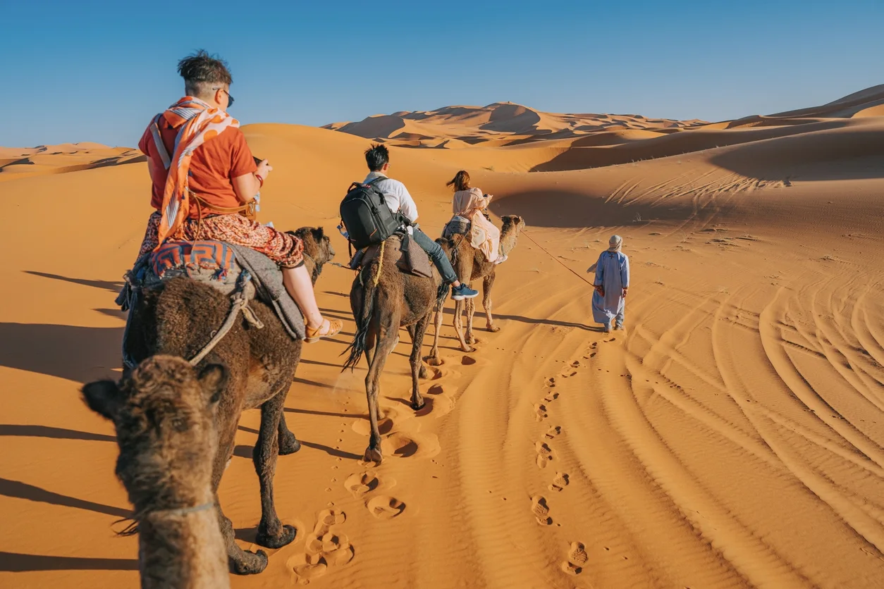 Asian Chinese Tourist Camel caravan going through the Sahara desert in Morocco at sunset