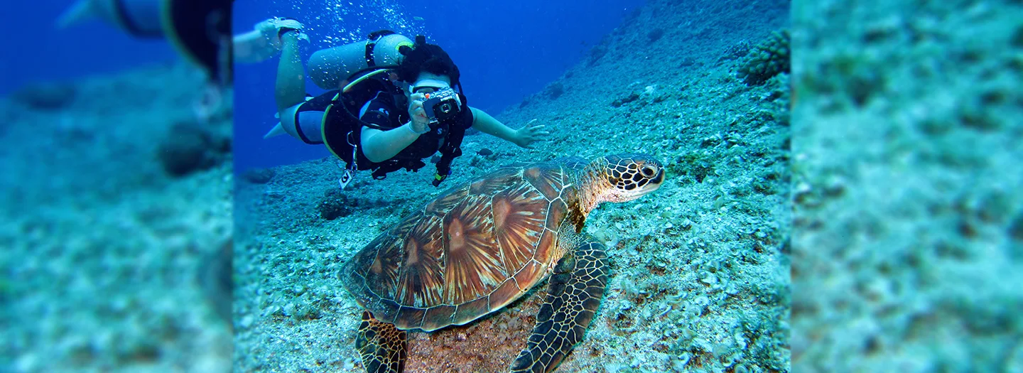 Best Diving in the World | Diving Places | Dive Trips