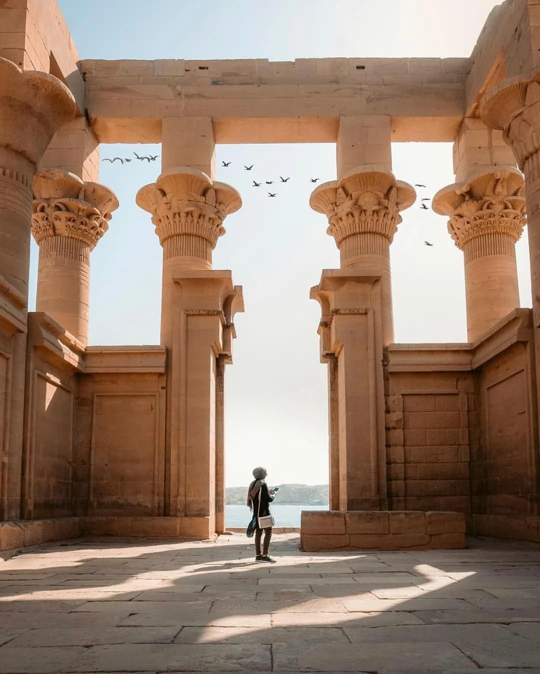 A person stands inside the majestic Temple of Philae in Aswan, Egypt, surrounded by towering ancient columns under the open sky with birds flying above.