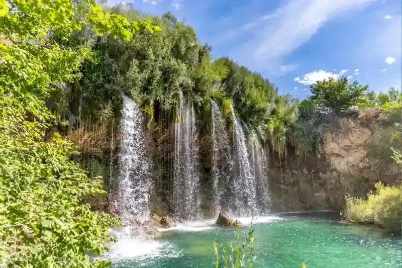 Top Mare in Oman, Top Mare in Oman