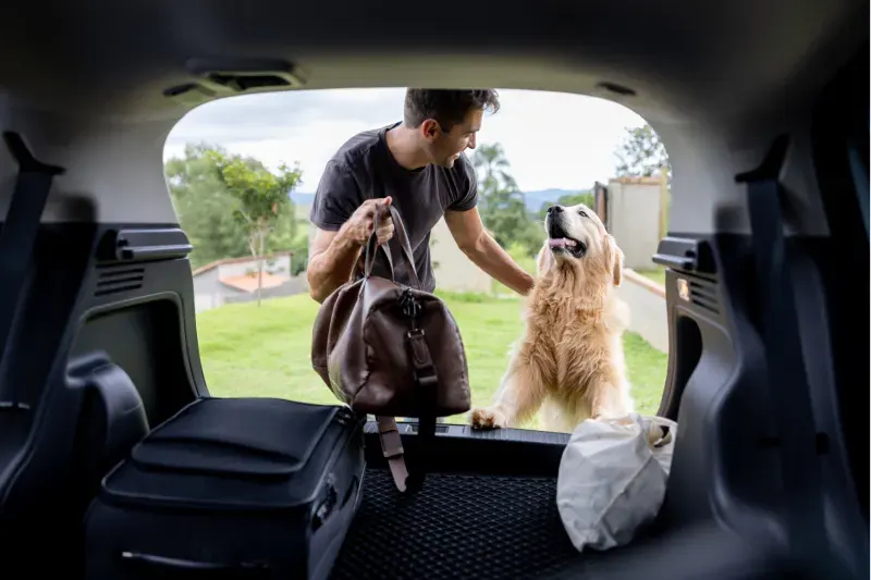 Mann auf einem Roadtrip mit seinem Hund im Auto