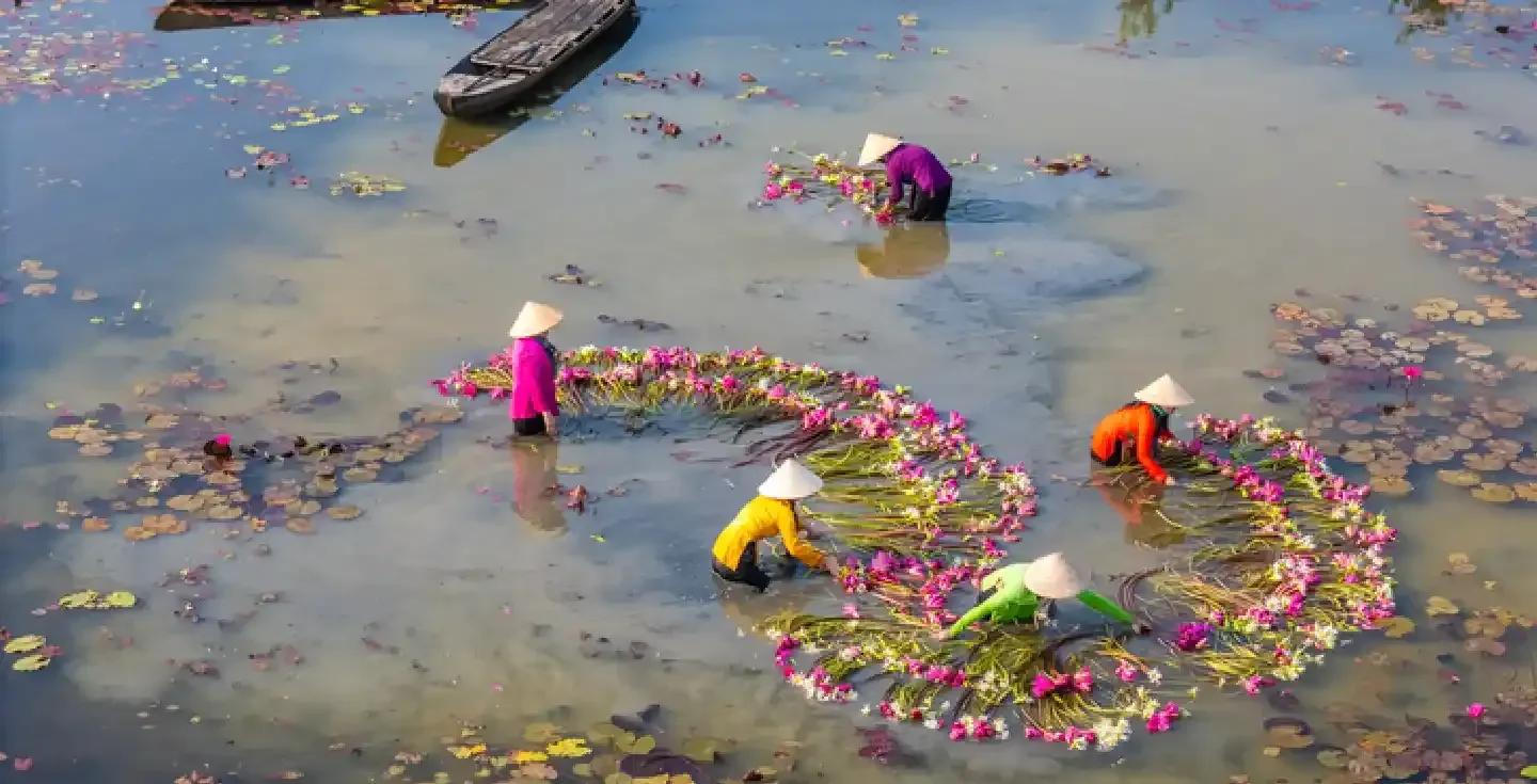 viaggio in vietnam
