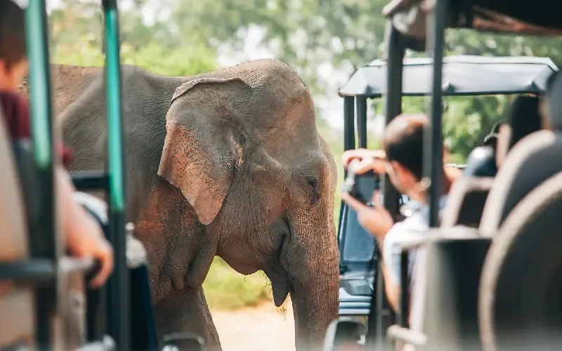 Udawalawe