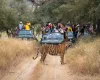 Parco Ranthambore , Tour India