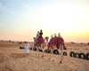 Safári no Deserto, Pacote Turístico para Dubai no Fim do Ano